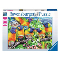 Ravensburger 168156 Země papoušků 1000 dílků