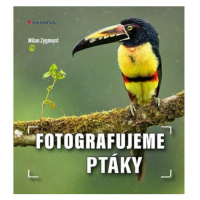 Fotografujeme ptáky