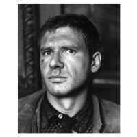 Fotografie Harrison Ford, Blade Runner, 30x40 cm