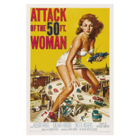 Ilustrace Attack of the 50ft Woman, 26.7 × 40 cm