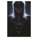 Plakát, Obraz - Batman - Words Collide, 61x91.5 cm