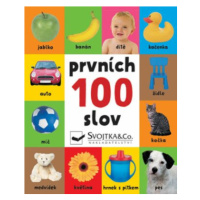 Prvních 100 slov