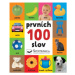 Prvních 100 slov