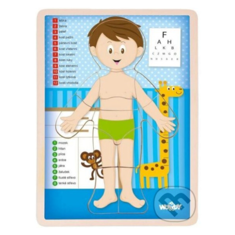 Woody Puzzle Lidské tělo (Kluk, v českém jazyce) - puzzle z kategorie Naučné puzzle