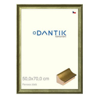 DANTIK rámeček 50 × 70, Ferrosa zlatý plexi čiré