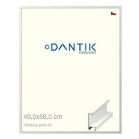 DANTIK rámeček 40 × 50, ALU profil 6035 Dýha bílý plexi čiré