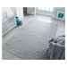 Flair Rugs koberce Kusový koberec Piatto Argento Silver – na ven i na doma - 200x290 cm