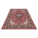 Nouristan - Hanse Home koberce Kusový koberec Mirkan 104095 Red - 120x170 cm