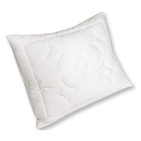2G Lipov Polštář Lyocell-Tencel / bavlna - 70x90 cm
