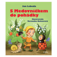 S Medovníčkem do pohádky - Jan Lebeda