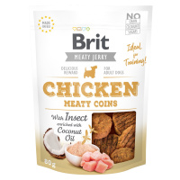 BRIT Jerky Chicken with Insect Meaty Coins 80 g