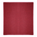 Vopi koberce Kusový koberec Astra červená čtverec - 150x150 cm