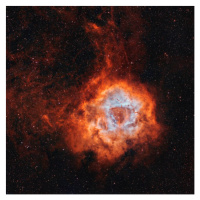 Fotografie NGC 2237, the Rosette Nebula, with, Rolf Geissinger/Stocktrek Images, 40 × 40 cm