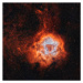 Umělecká fotografie NGC 2237, the Rosette Nebula, with, Rolf Geissinger/Stocktrek Images, (40 x 