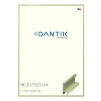 DANTIK rámeček 50 × 70, ALU profil 6035 Dýha barevný zelený pastel plexi čiré