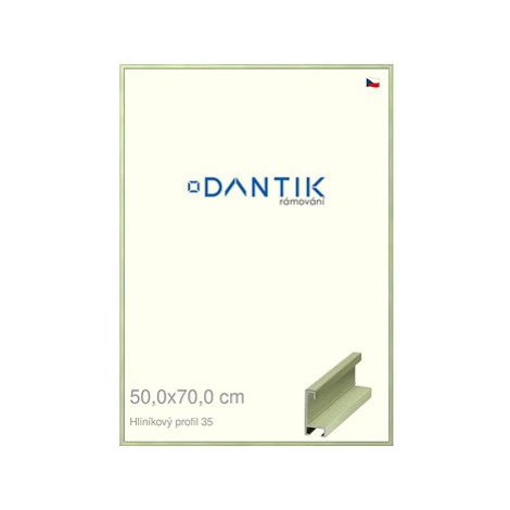 DANTIK rámeček 50 × 70, ALU profil 6035 Dýha barevný zelený pastel plexi čiré