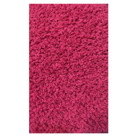 Moderní kusový koberec Color Shaggy | růžový Typ: 80x150 cm