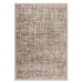 Béžový koberec 200x290 cm Trace – Flair Rugs