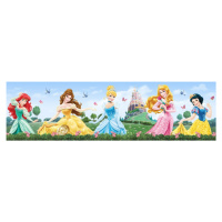 WBD 8072 AG Design Samolepicí bordura Princess, velikost 14 cm x 5 m