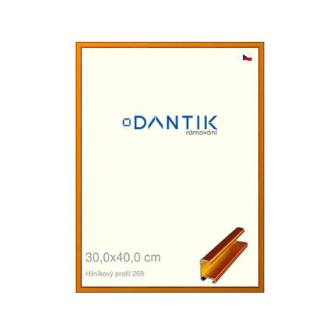 DANTIK rámeček 30 × 40, ALU profil 7269 Oranžový Citrin broušený plexi čiré