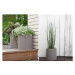 Keter Obal na květináč Cylinder Planter S šedá, 7 l, 28 x 28 x 28,3 cm