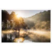 Fotografie Camping and tent under the pine, Mongkol Chuewong, 40 × 26.7 cm