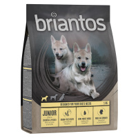 Briantos Junior kuřecí s bramborami - bez obilovin - 4 x 1 kg