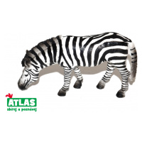 Atlas C Zebra 11 cm