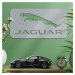 Dřevěný obraz - Logo auta Jaguar