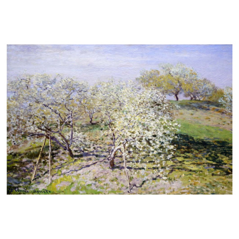 Reprodukce obrazu Claude Monet - Spring, 90 x 60 cm Fedkolor