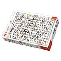 Trefl Puzzle 208 Kočiček 1000 dílků 68x48cm v krabici 40x27x6cm