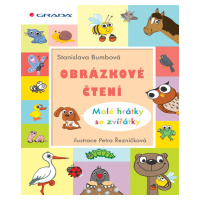 E-kniha: Obrázkové čtení  - Malé hrátky se zvířátky od Bumbová Stanislava