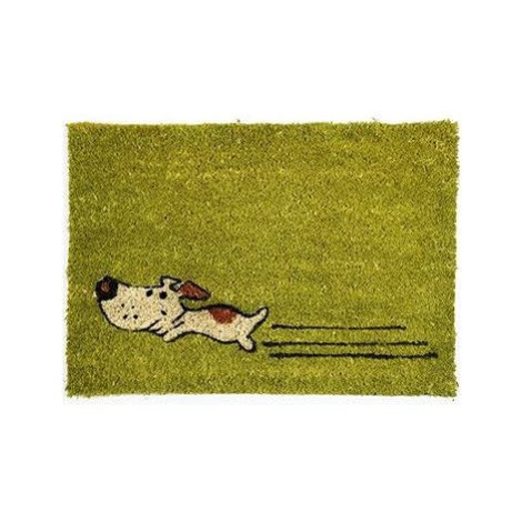BO-MA Rohožka Kokos Zelený pes 40 × 60 cm