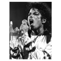 Umělecká fotografie MICHAEL JACKSON The King of Pop', ., (30 x 40 cm)