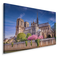 Plátno Katedrála Notre Dame, Paříž II. Varianta: 30x20