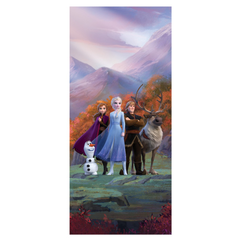 FTDN V 5487 Dětská vliesová fototapeta dveřní Frozen - ledové království, velikost 90 x 202 cm