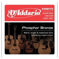 D'Addario EPBB170