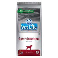 Farmina Vet Life Dog Gastro-Intestinal - Výhodné balení: 2× 12 kg