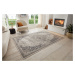 Hanse Home Collection koberce Kusový koberec Terrain 105605 Orken Cream Grey - 240x340 cm