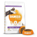 IAMS Cat Kitten Chicken 10kg