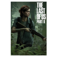Plakát, Obraz - The Last of Us 2 - Ellie, 61x91.5 cm