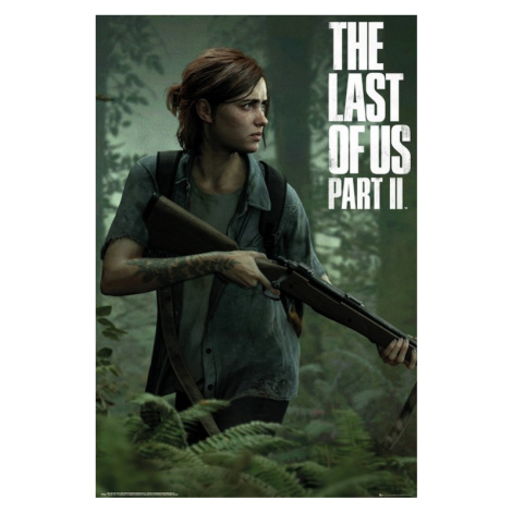 Plakát, Obraz - The Last of Us 2 - Ellie, (61 x 91.5 cm) GB Eye