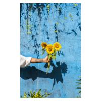 Fotografie Woman holding sunflower in front of, Westend61, 26.7 × 40 cm