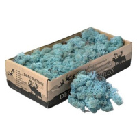 Deco Sobí mech Naturel Aquamarine, 500 g