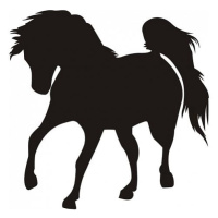 Samolepící dekorace Kůň