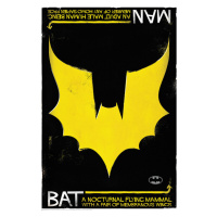 Umělecký tisk Batman - Nocturnal, 26.7 × 40 cm