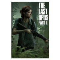 Plakát The Last of Us 2 - Ellie (10)