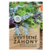 Jak na vyvýšené záhony - Snadné zahradničení se vzorovými záhony - Joachim Mayer