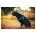 Vsepropejska Fugas postroj pro psa s vodítkem Barva: Tmavě modrá, Obvod hrudníku: 42 - 64 cm