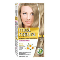 Farcom permanentní barva na vlasy bez amoniaku 9.1, velmi světlá popelově blond, 60 ml